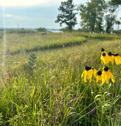 prairie wood trails